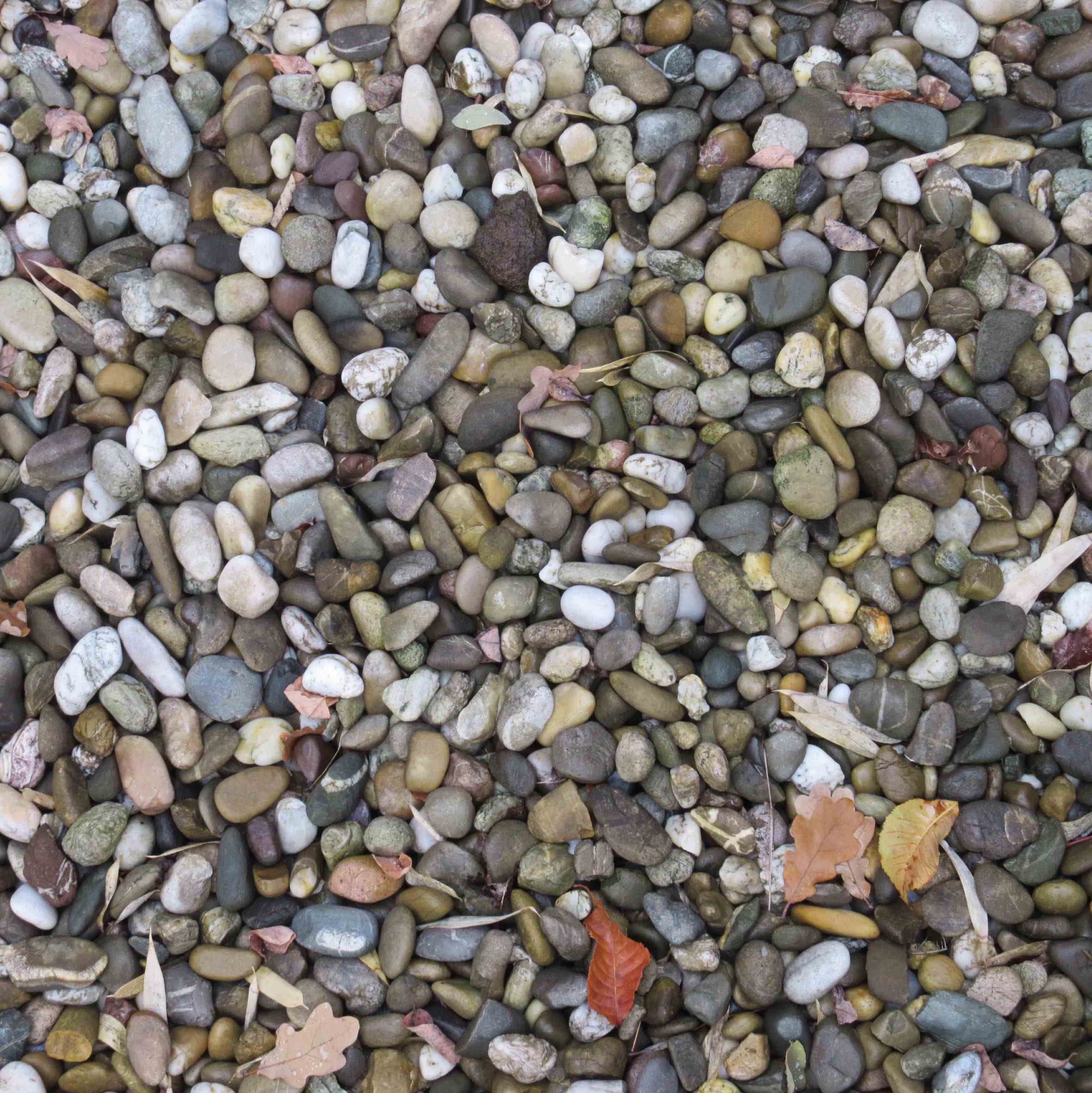 looking at gravel für Webk.jpg